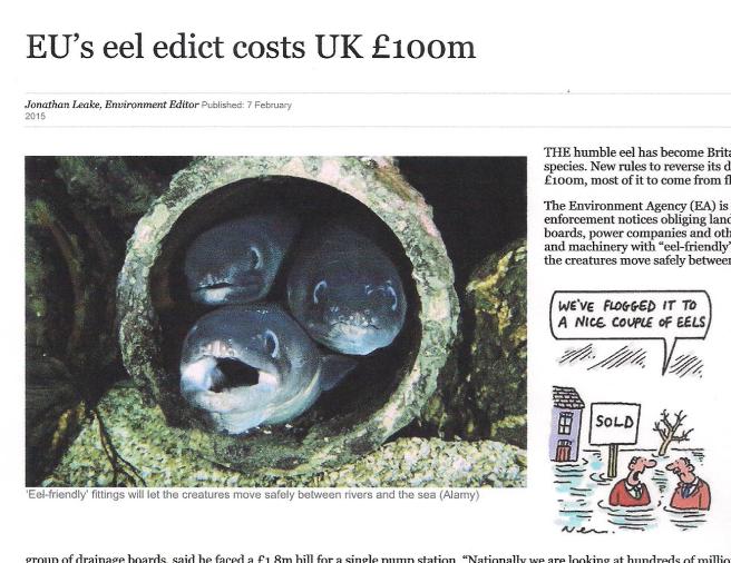 D5  Are you looking at me 001 (2)