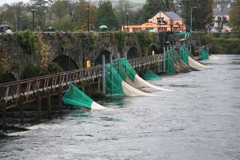 D8 Shannon eel fishery nets