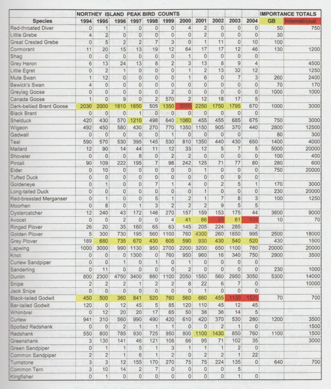Bird Count Northey Island 001