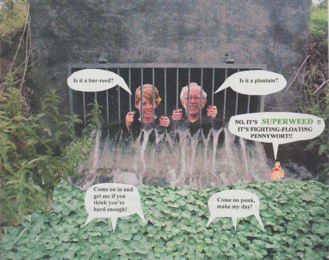 Chelmer Ulting Outfall 001